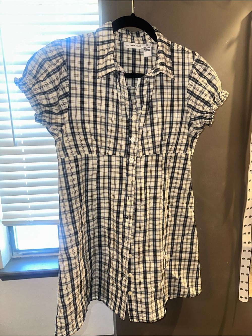 Sincerely Jules Farmgirl mini Dress